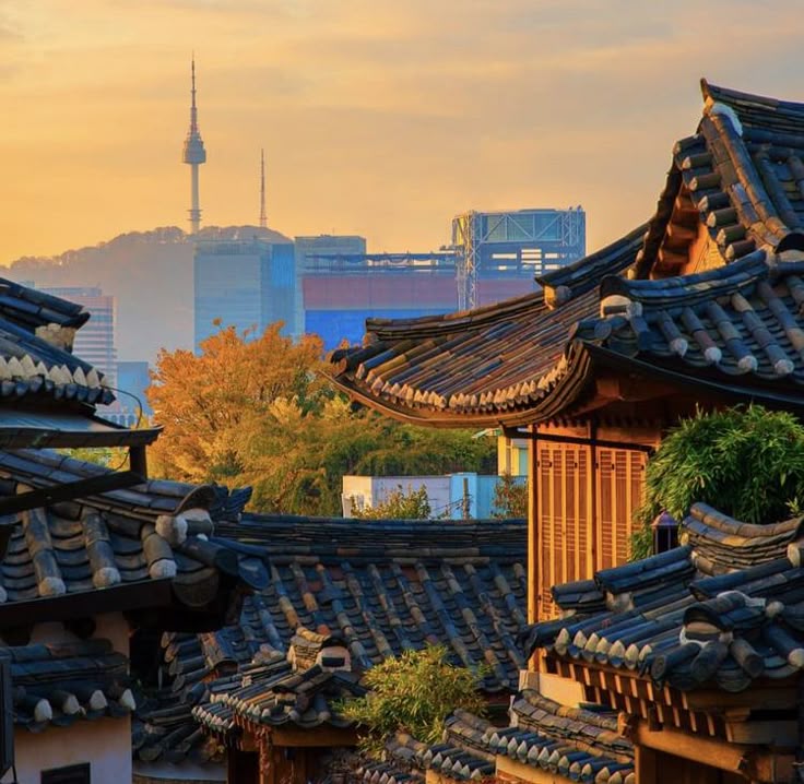 Affordable Korea Travel Package – Culture, K-Pop & Scenic Views