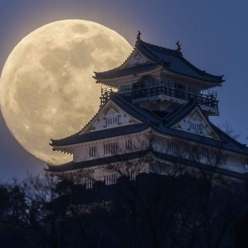 Japan Travel Package from Chennai – Best of Culture & City