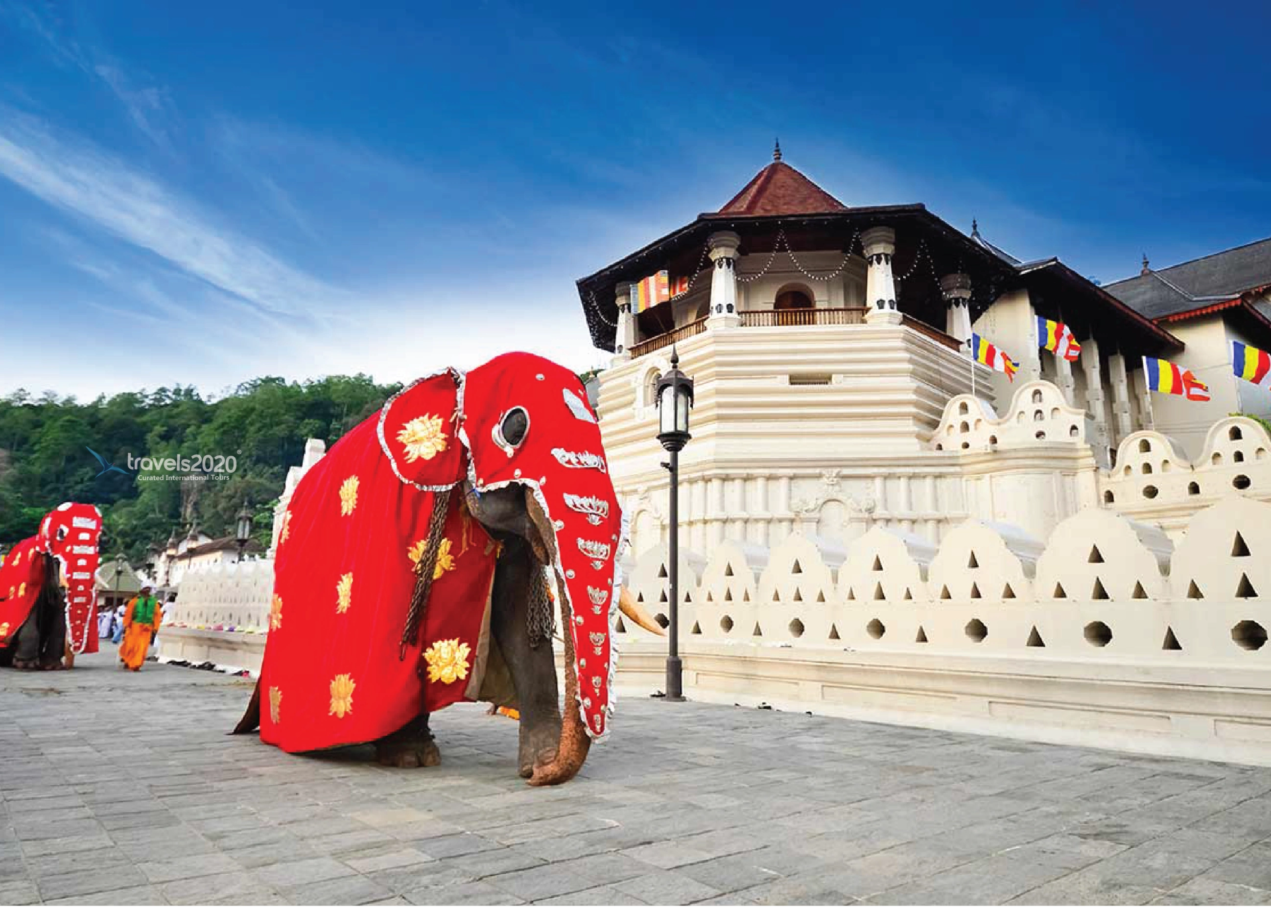 Sri Lanka Bliss Tour Package