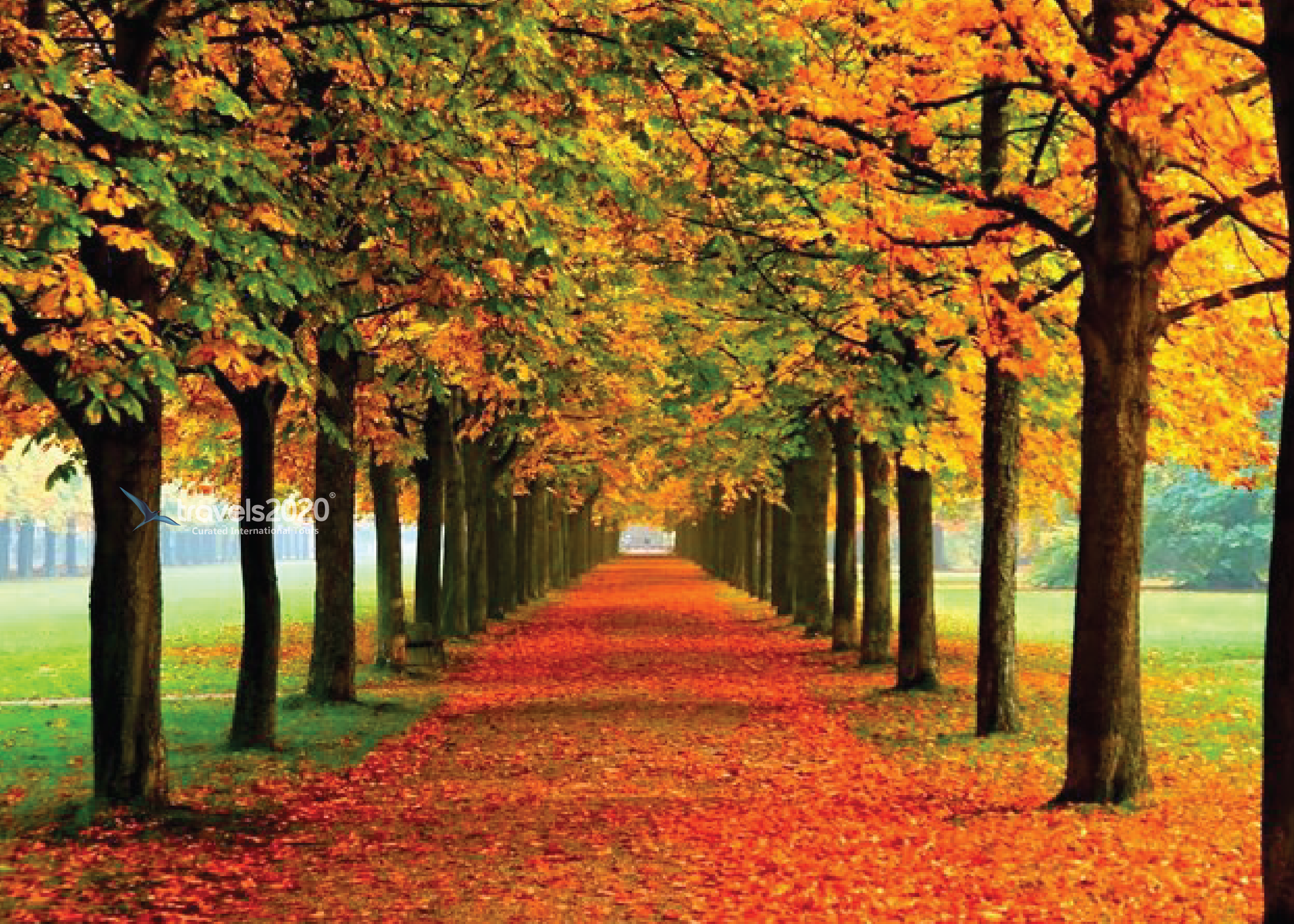 Best South Korea Itinerary  – Seoul, Busan, DMZ