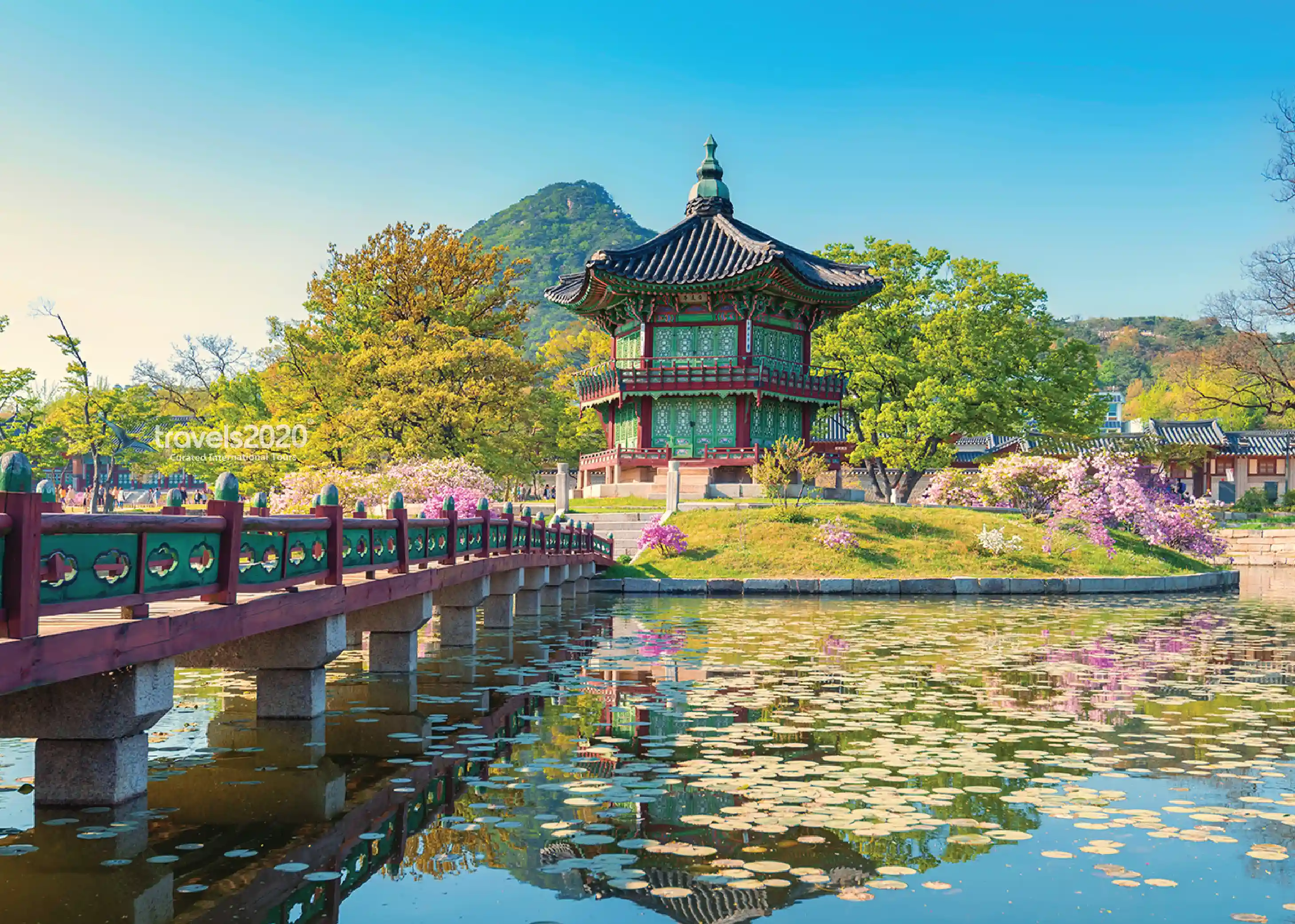 South Korea Tour  Best of Seoul Highlights