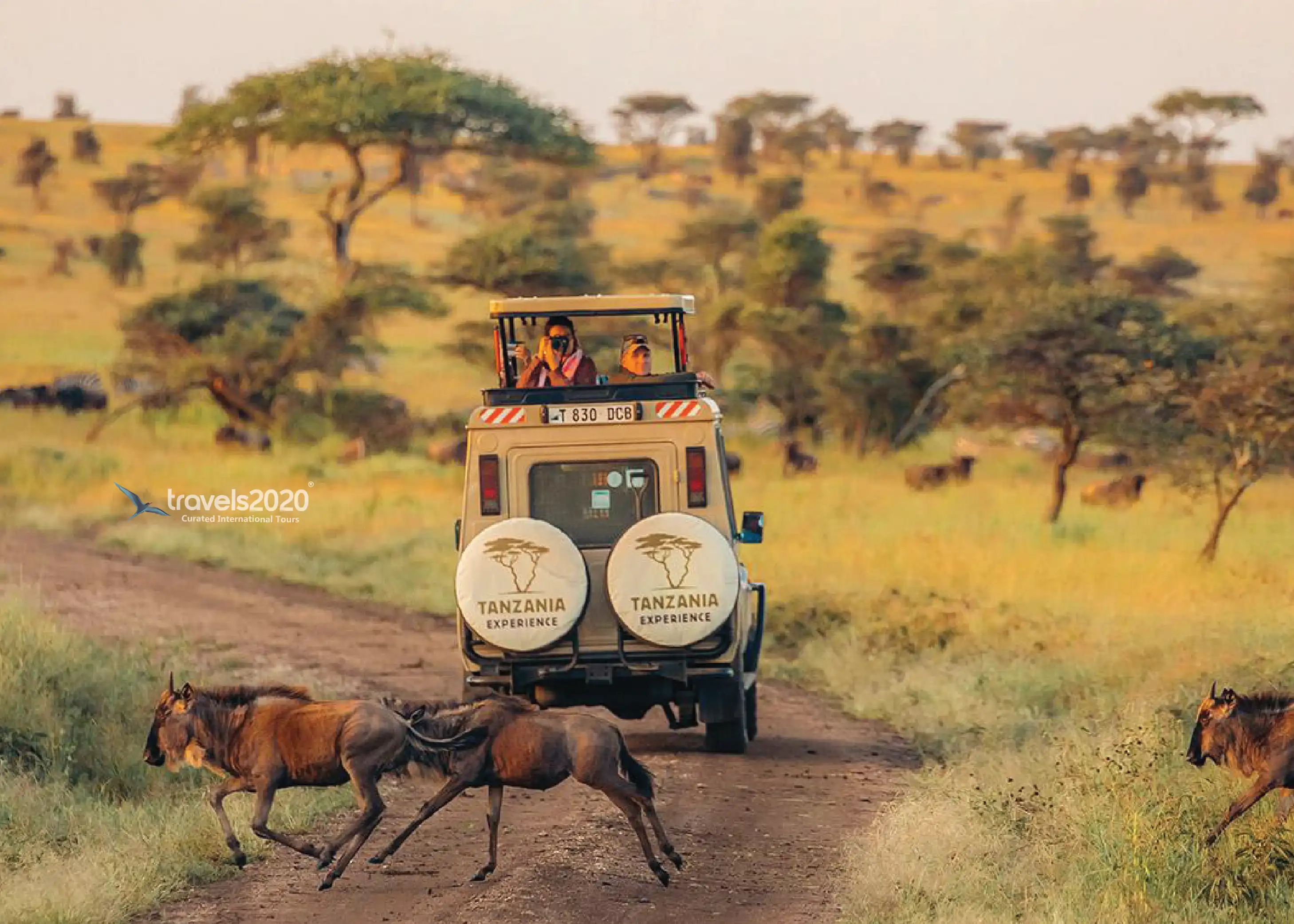 Tanzania In Style – Private Safari & Lodge Experience