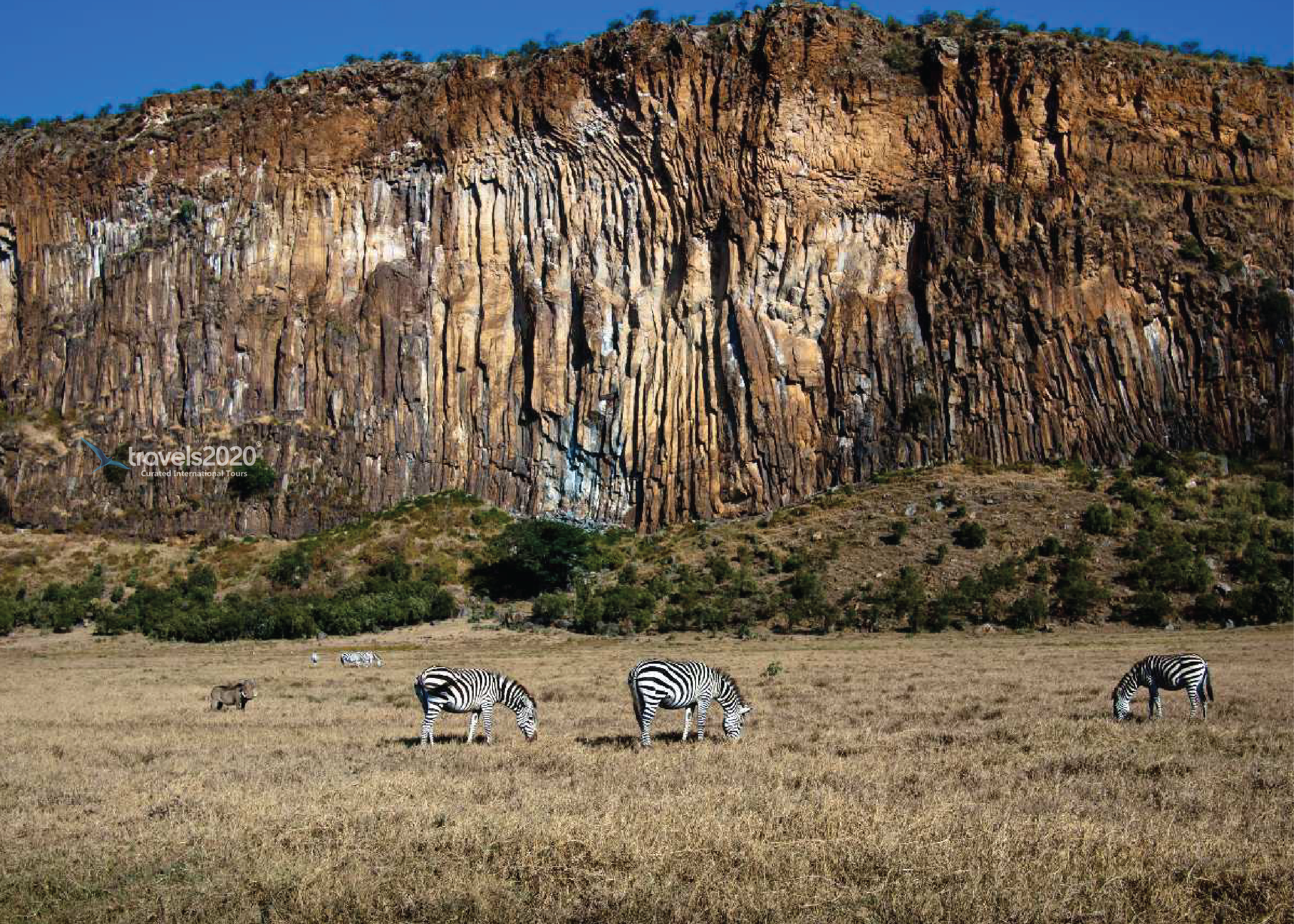 Kenya Safari & Diani Beach Holiday – Wild Meets Relaxation