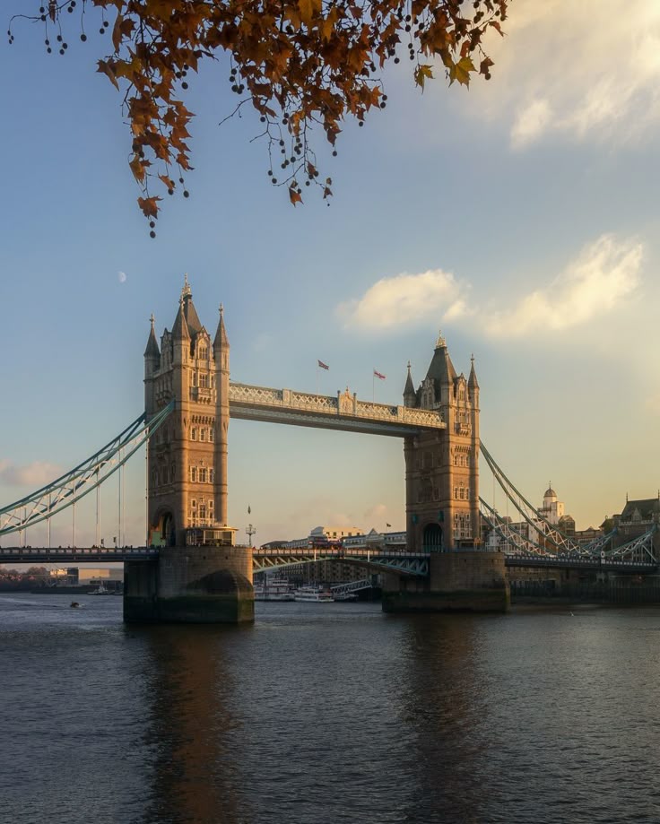 City Buzz London – Iconic Spots, History & Chill Vibes