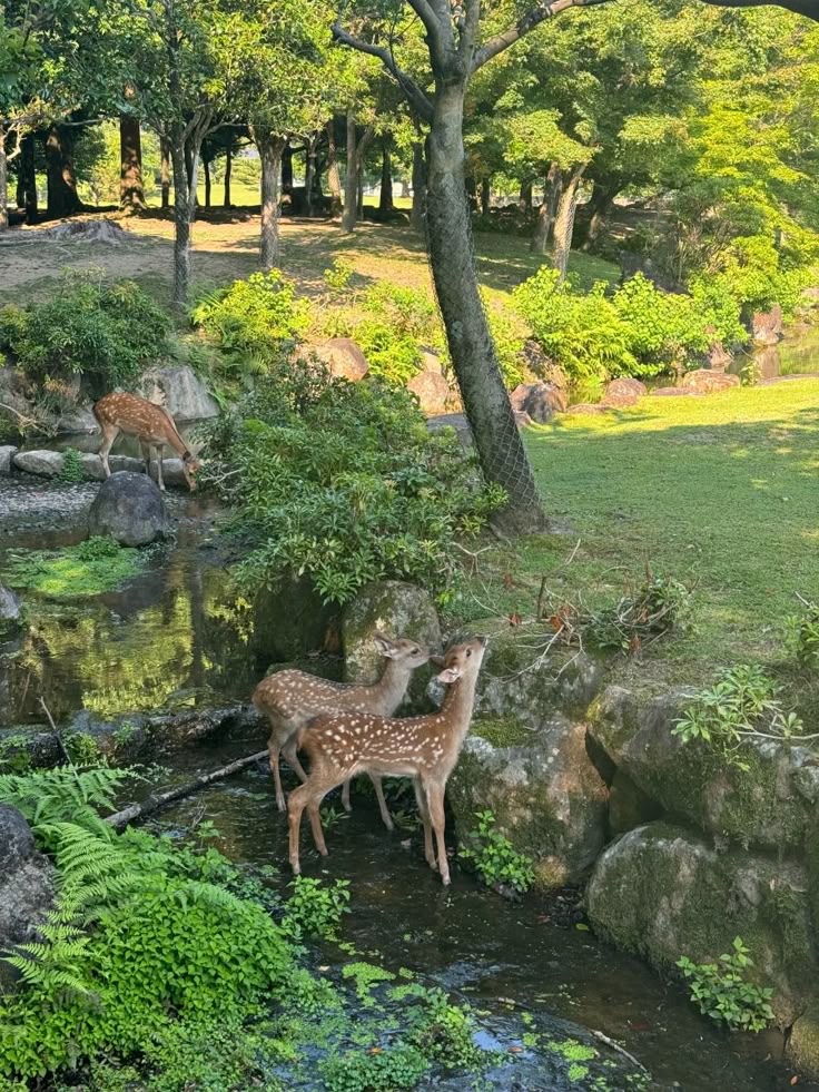 Ultimate Japan Itinerary – Culture, Cuisine & Castles