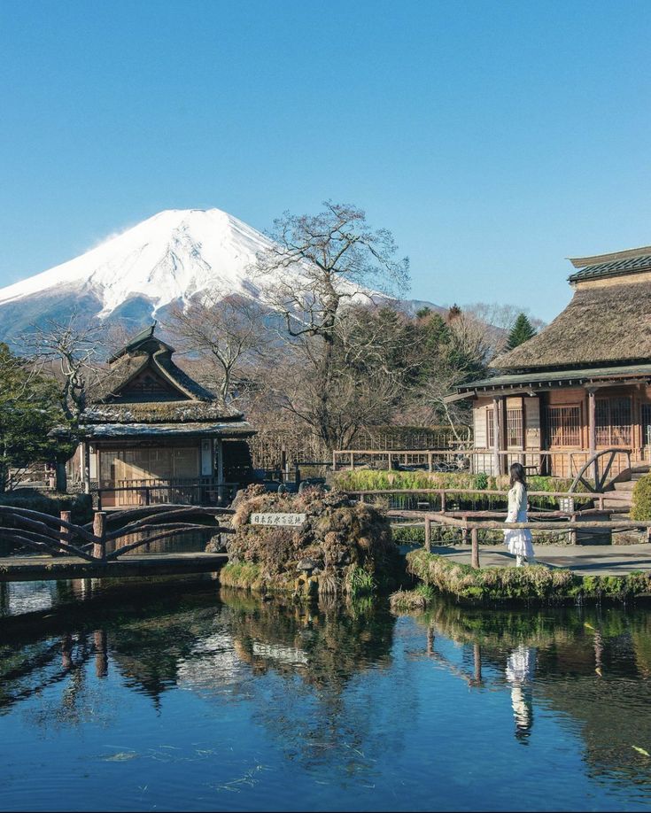 Best Japan Travel Package with Mt. Fuji & Bullet Train