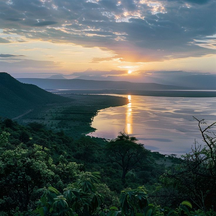 Tanzania Platinum Safari Experience