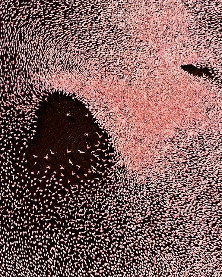 Kenya Safari & Diani Beach Holiday – Wild Meets Relaxation