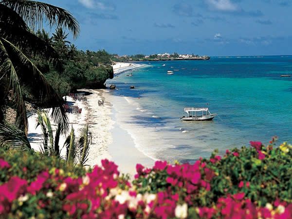 Masai Mara Safari Adventure – Witness the Big Five in Kenya