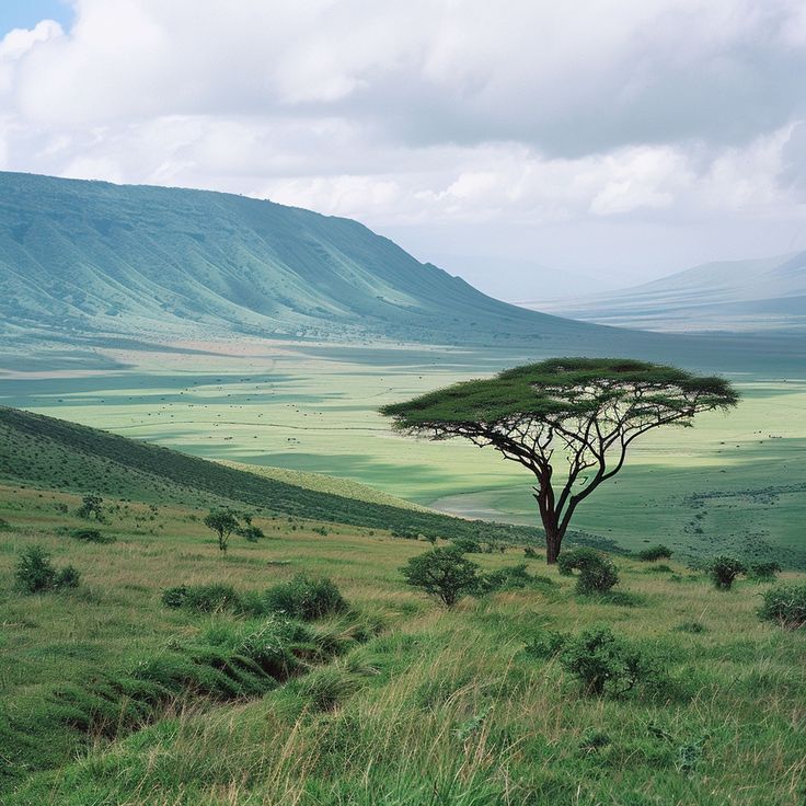 Explore Tanzania in – Best Safari Experience